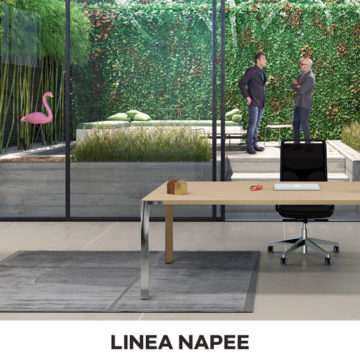 linea-napee